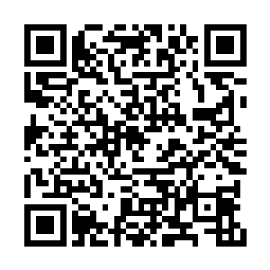 鲛人族的另一位高层将脸上震惊的神色强压下去二维码生成