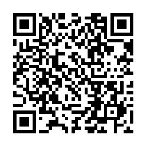鲜有人真正对犯罪嫌疑人合法权利做到了尊重和保护二维码生成