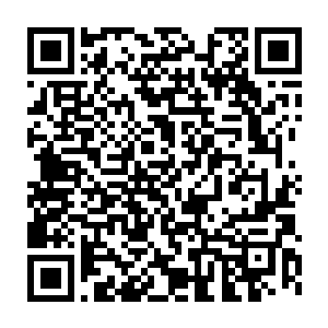 鲜血迸溅到了她的脸上……她的心里在害怕的同时还有后悔和自责二维码生成