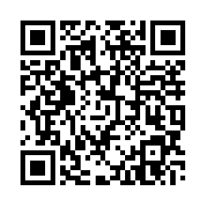 鲜鱼之类的就是玩家眼中的任务物品二维码生成