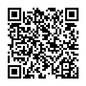 鲲鹏一族的传承恐怕是这世间所有种族中最完整的一个二维码生成