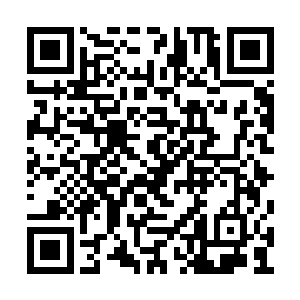 鲲鹏的本体不比十二品灭世黒莲这等先天灵宝差二维码生成