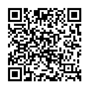 鲲鹏鸟那看起来已经鲜亮多彩的脑袋顿时一仰头二维码生成