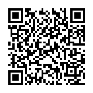 鳄蛟岛若是落在猎海联盟或者四大宗派的掌控之中二维码生成