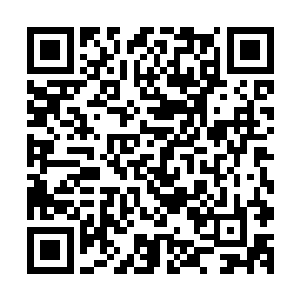 鳄蛟王率领铁羽王和近二百名六七阶一直潜伏在鳄蛟岛的妖修二维码生成