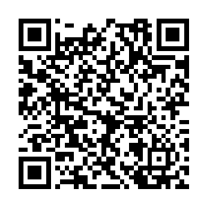 鳞片个个人尽出了最大的努力来对付林烽和姚紫怡二维码生成