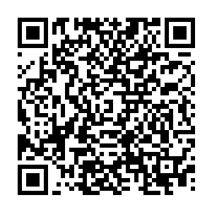 鳞甲尾端上附加的短须正是为了鳞甲扩张开力道时能尽快帮助每片鳞甲快速散力二维码生成