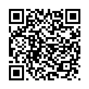 鸟叔的攻击不只是土地裂开的石块二维码生成