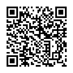 鸠和族里的勇士一起把住人的山洞在里面用木头全部封住二维码生成