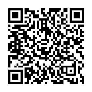 鸠山由纪夫看着菅直人微带幸灾乐祸的笑容真的很想给他一耳光二维码生成