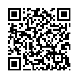 鸡蛋不能放在一个篮子里只是其中的一个招数二维码生成