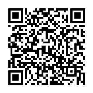 鸣东亲自动手将陷入昏迷中的剑尘带入他休息的房间中二维码生成