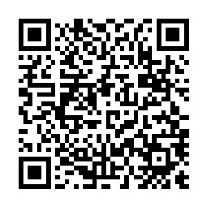 鸿德主宰和林云主宰得到东皇主宰的消息后还有些不太相信二维码生成