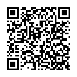 鸿德主宰林云主宰东皇主宰三位主宰不好和天痕主宰抢二维码生成