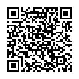 鸿德主宰林云主宰也纷纷将他们的气势上升到最高点二维码生成
