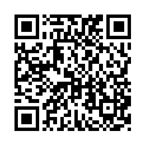 鸿蒙紫莲和隐天披风仅仅是颤动了一下二维码生成