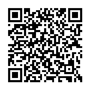 鸿蒙至尊拳鸿蒙至尊甲鸿蒙至尊印也是次级初期二维码生成