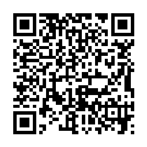 鸿鹄竟没有对已经失去抵抗能力的曌影王发动攻击二维码生成