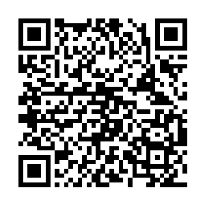 鹫长老偏头看了一眼身边那瘦高得跟竹竿一样的老者二维码生成