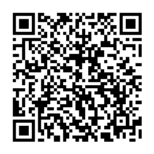 鹿如北和白蒙飞看着好不容易被打倒的猪不能居然在吴虎臣的妙手回春之下二维码生成