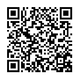 鹿灵犀当然知道酒在这部电影中是很重要的道具和剧情触发点二维码生成