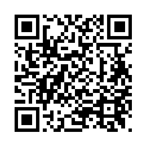 鹿群就象是得了命令般同时撒腿狂奔二维码生成