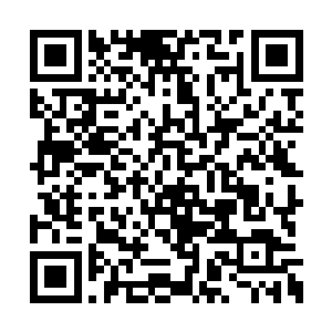 鹿野还是第一次发现艾沫沫也有这么害怕的时候二维码生成