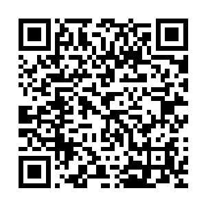 麒麟王当面被苏落打脸……最后苏落还是跟着九王爷走了……二维码生成
