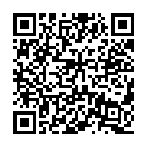 麓城县公安局局长杨淦金担任宋城分局党委书记二维码生成