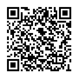 麓城县委县政府要有意识的开始对产业进行调整二维码生成