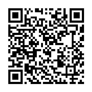 麓山镇派出所的所长张国平认出了市里头开会常碰到的蔡妍二维码生成