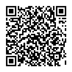 麓溪区希望由区里获得组建一家出租车公司并获得三百辆出租车的营运权二维码生成