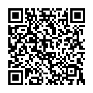 麦兜先前的时候摆弄枪械就已经是异常的满足了二维码生成