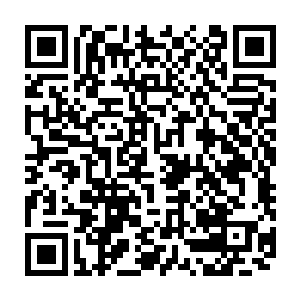 麦卡洛夫妇在英国许多地方都有房产詹姆斯麦卡洛自己或许不擅长做这些二维码生成