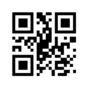 麦支队二维码生成