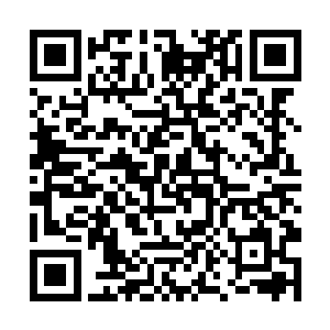 麦星第一次听到这贝斯克利火山的时候也是有些惊讶二维码生成