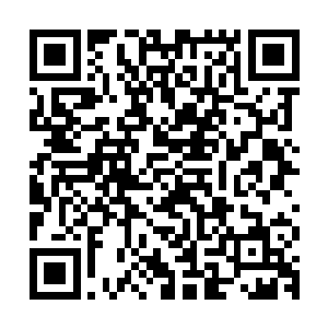 麻布送到凌菲的注意力暂时便转移到了给白娇做结亲衣服上来了二维码生成