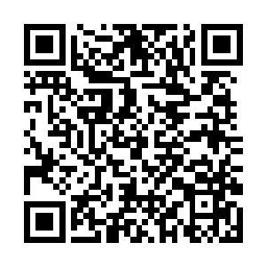 麻烦你离我远点我真的不认识你更不知道你叫离子帆二维码生成