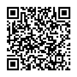 麻烦您去调查一下我那逆子最近又做了什么事情出来二维码生成