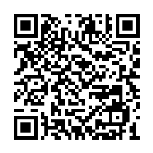 麻醉弹的说明书上明明说人体中了这种麻醉弹后二维码生成