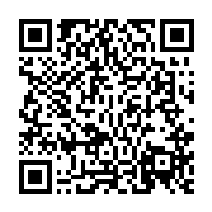 黄一一的心软是没法儿直接抛弃已经把他当头狗看待的狗子们二维码生成