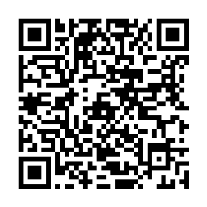 黄云和白云先是和红云师姐道歉说没管好门人云云二维码生成