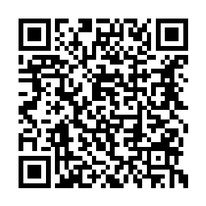 黄全和陈自定已经仔细的将整个密室搜索了一遍二维码生成