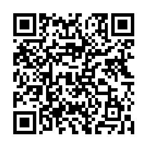 黄埔悲秋与南肖潇虽然看不到苏林二人制造出来的异象二维码生成