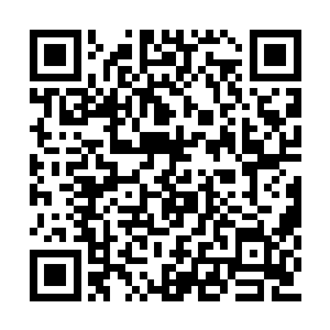 黄埔无恨之所以带自己过来观看整个任务的过程二维码生成