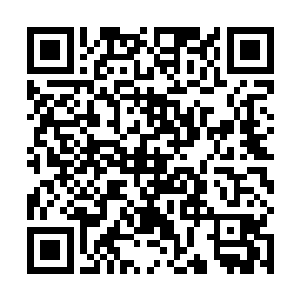 黄大哥和蓝大姐两人已经各自骑上了自己的小石族护卫二维码生成