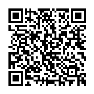 黄富的手电筒照射到其中一根黑乎乎的筒状物上二维码生成