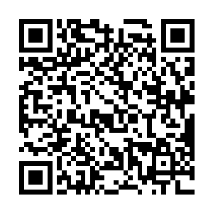 黄少华只感觉到一道强大的力量直接作用在了他的身上二维码生成