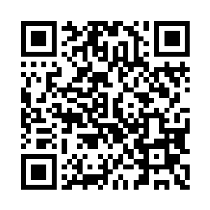 黄岛主率几十名筑基修士一起在一号码头迎接二维码生成