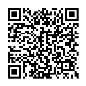 黄月云一抬手就把装着葡萄的盘子甩向了池中央二维码生成